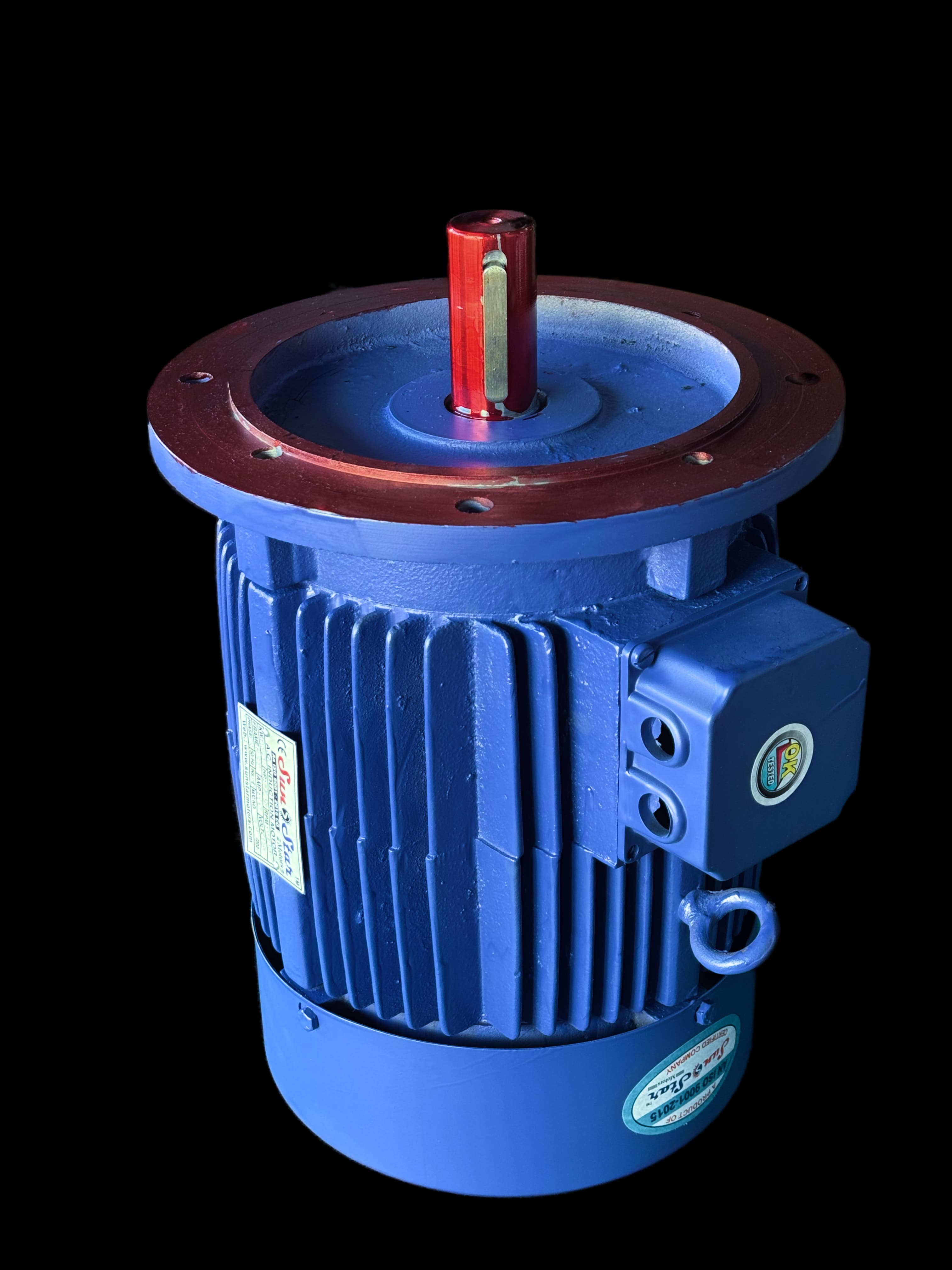 Flange Mounted Motor