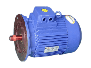 Flange Mounted Motor