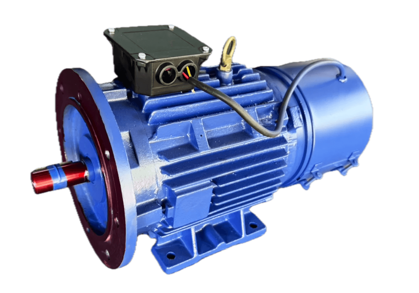 Foot Cum Flange Mounted Motor