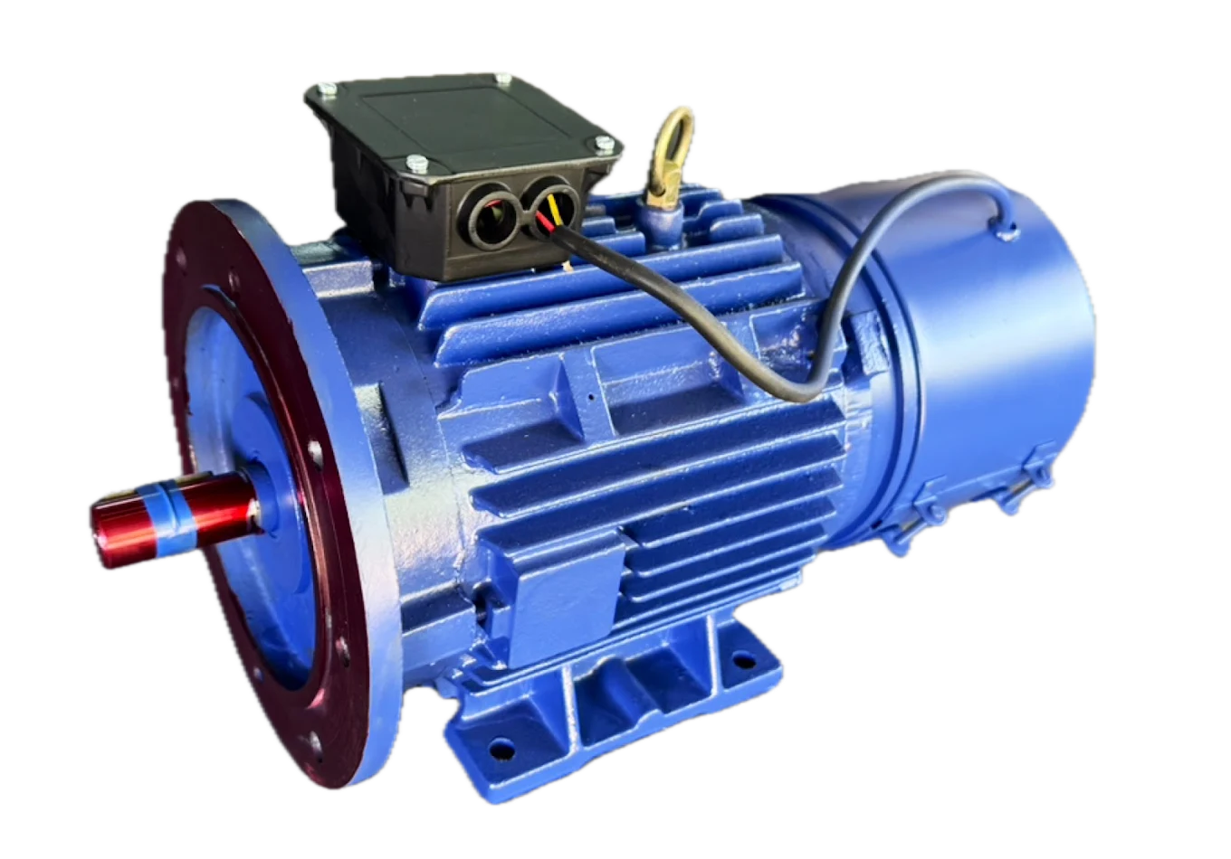 Foot Cum Flange Mounted Motor